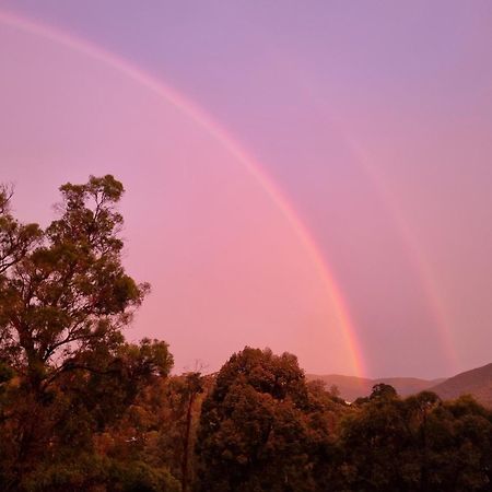Rosebank Guesthouse Healesville Zewnętrze zdjęcie