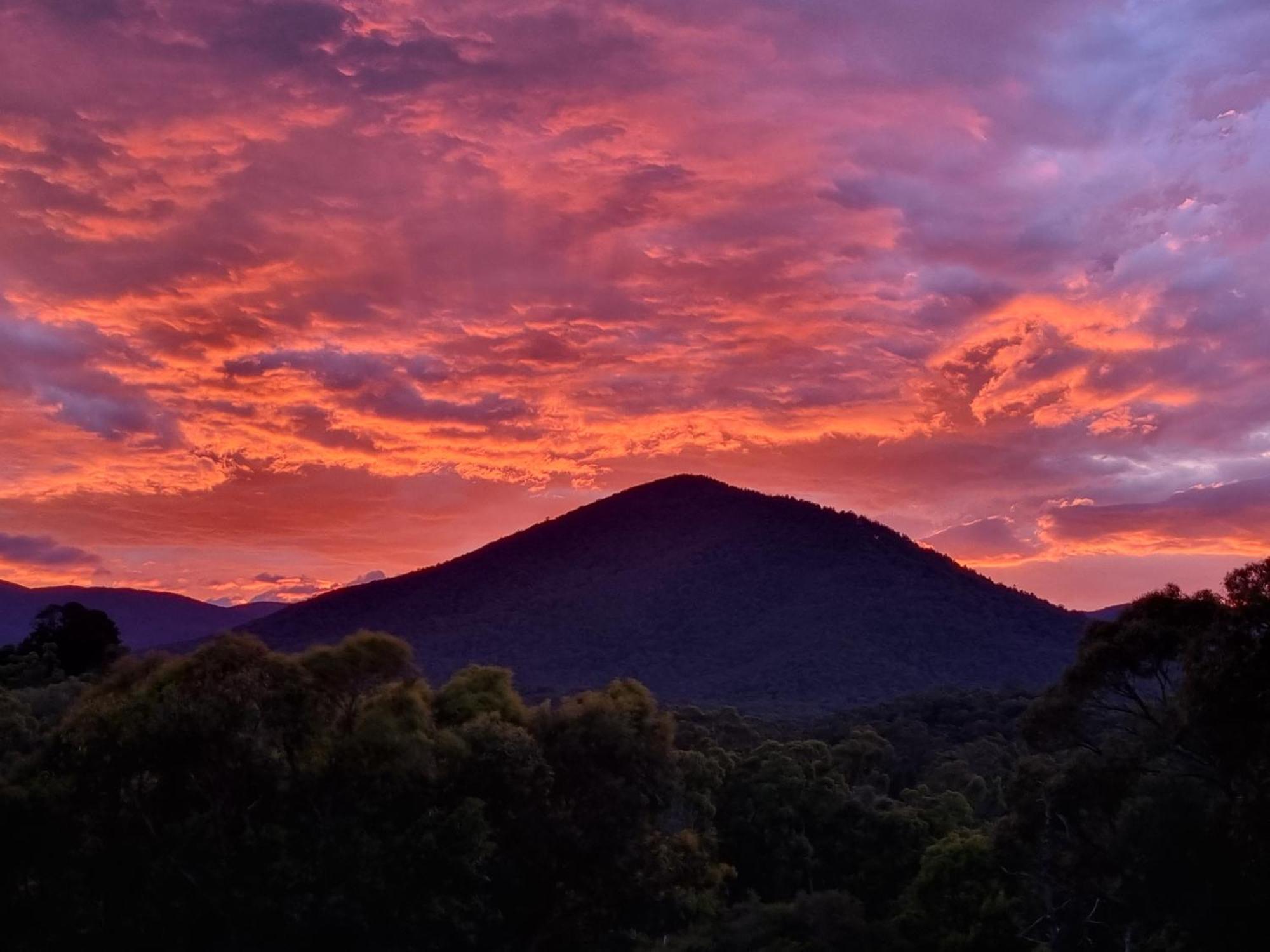 Rosebank Guesthouse Healesville Zewnętrze zdjęcie