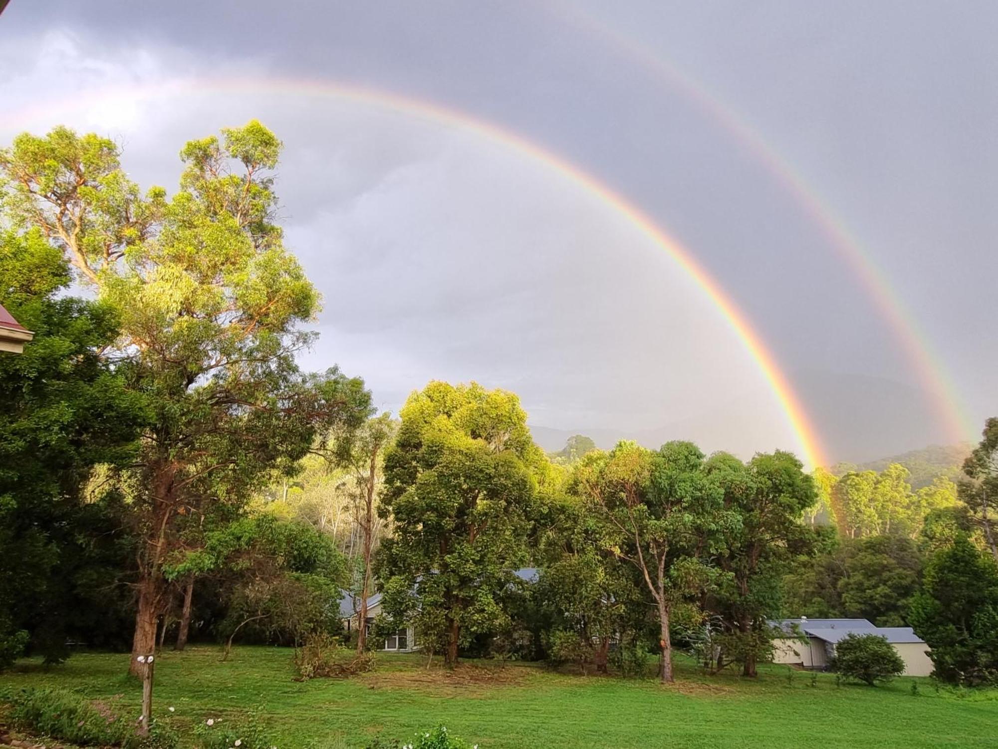 Rosebank Guesthouse Healesville Zewnętrze zdjęcie